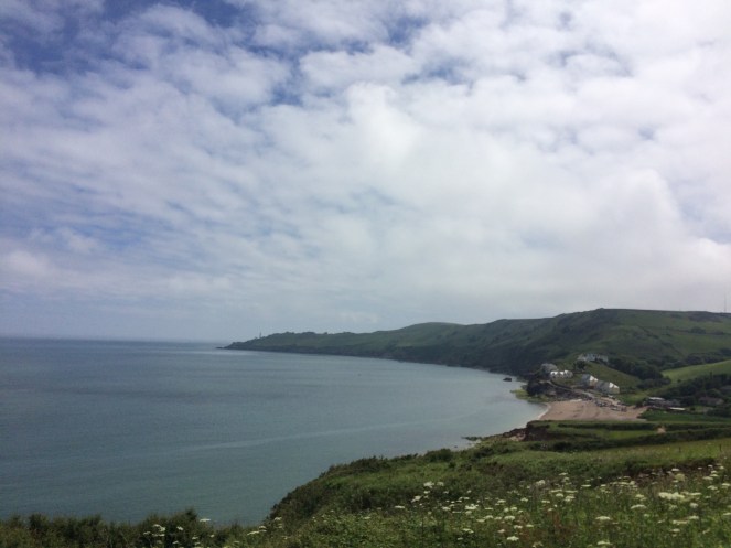 01FF19B3-4C61-4260-AED9-6024C6282277