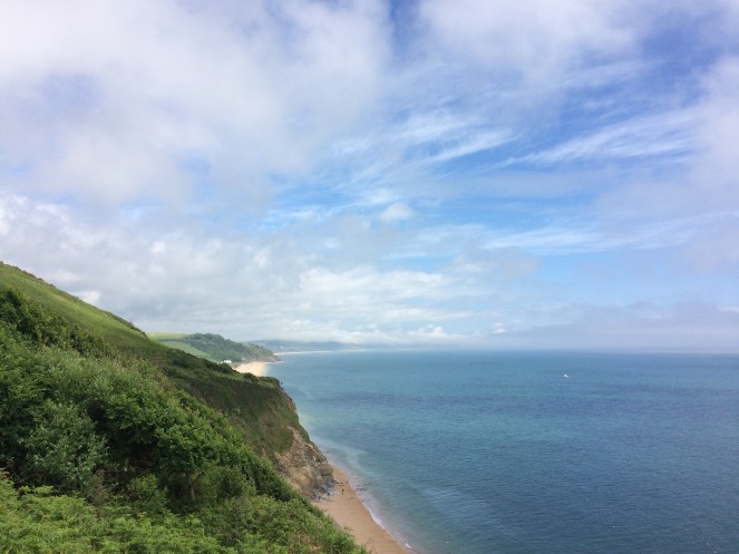 13493F79-4884-4660-9C0C-370FBBB13931