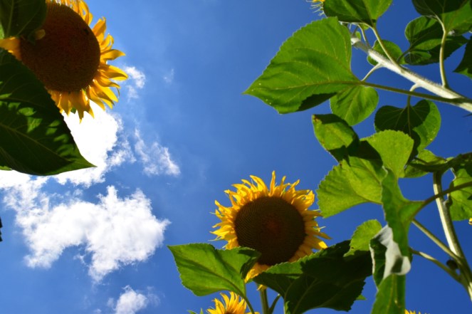 412F8A3B-864C-4232-B71F-B9A33A921039