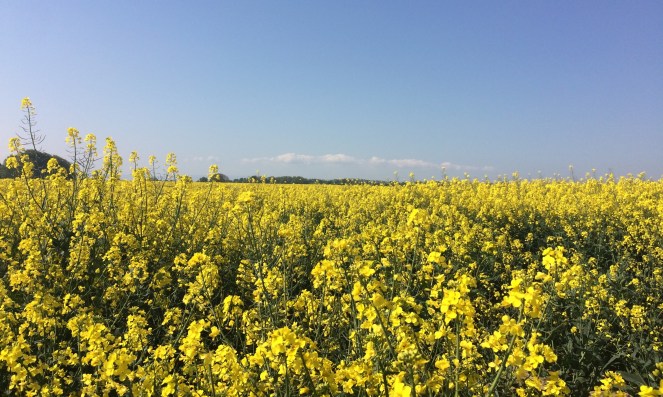 61082638-A968-4189-914B-1983A3FBE133