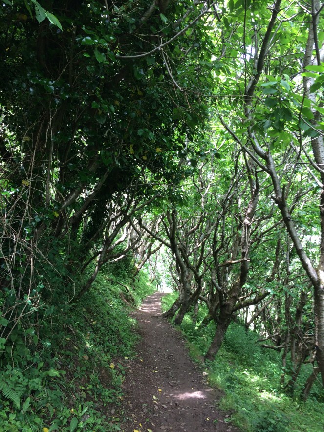 88879233-B056-404F-8509-AA168AF3B28B