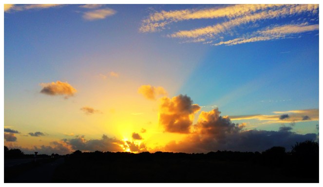 9FF1C6F8-9545-4173-9431-403C5630FFE9