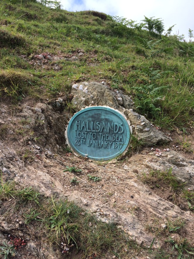 C4C0054B-4639-414C-9C2E-C8D76CFFEB63