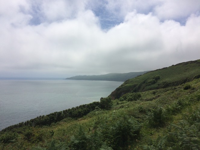 E5930D77-43C5-42A2-BB3D-D4C2EE64B2C2