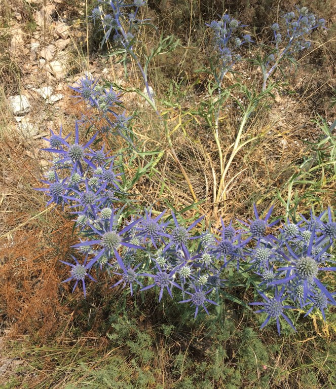 01FFC5D5-D550-4889-B54B-3344192F41A0