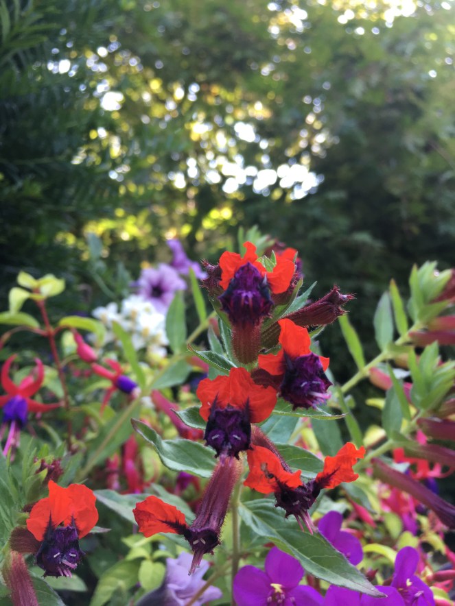 A3652CA7-D797-4D41-AAA9-8F6EB5911BF2