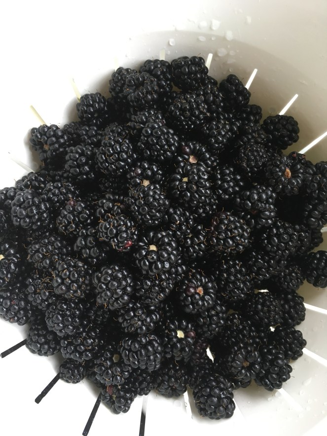 EAA9F633-D0FD-4DE7-82E8-CEC9F5528451