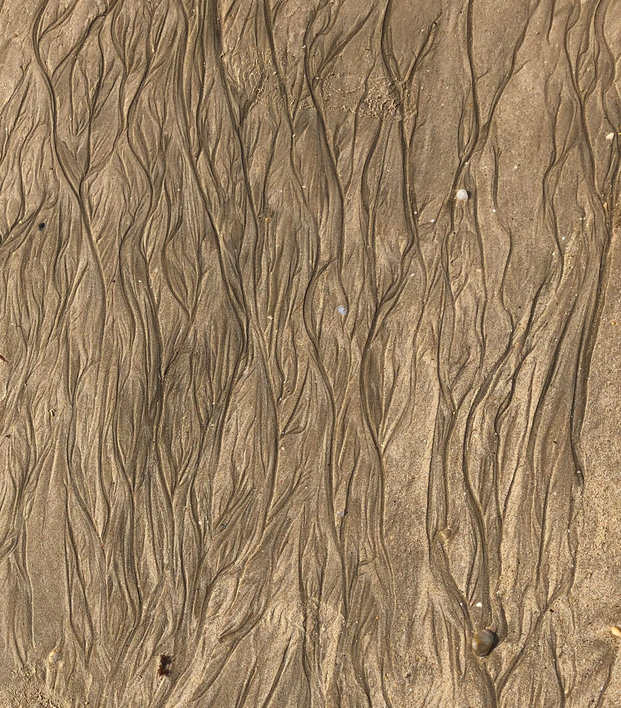 Miniature channels left by water draining from sand